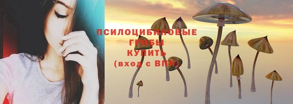 ALPHA-PVP Киреевск