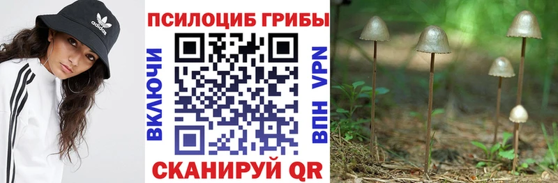 Псилоцибиновые грибы MAGIC MUSHROOMS Хабаровск